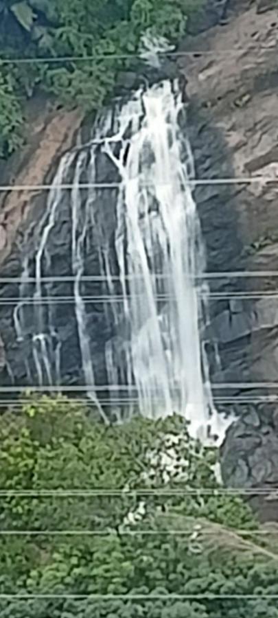 4 Acre Woods Farm Stay Munnar Luaran gambar