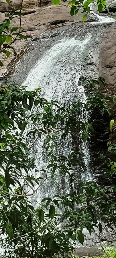 4 Acre Woods Farm Stay Munnar Luaran gambar