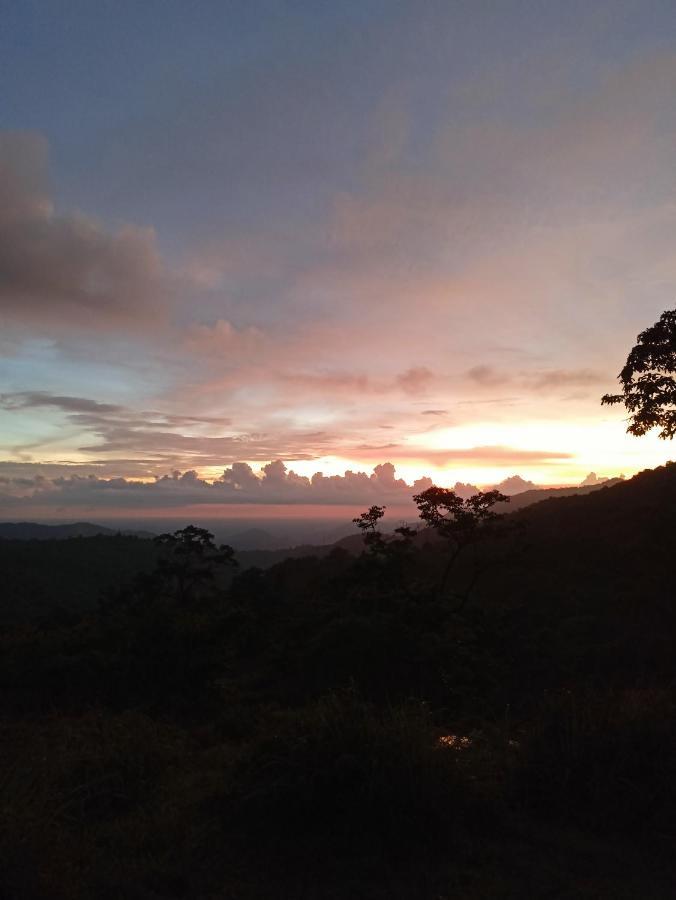 4 Acre Woods Farm Stay Munnar Luaran gambar