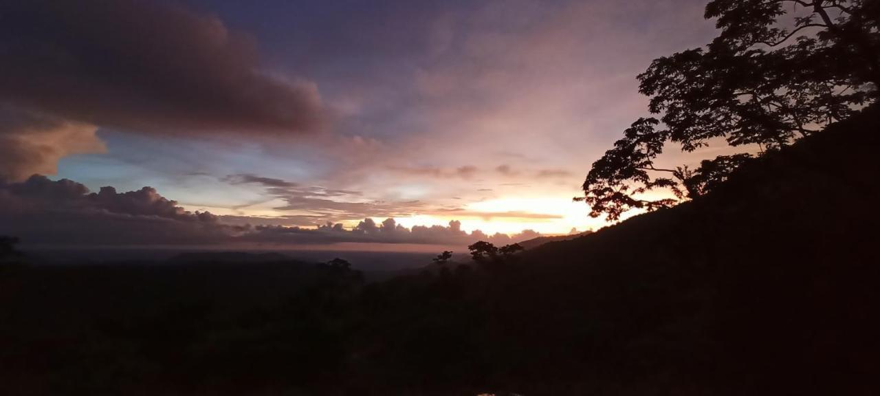 4 Acre Woods Farm Stay Munnar Luaran gambar