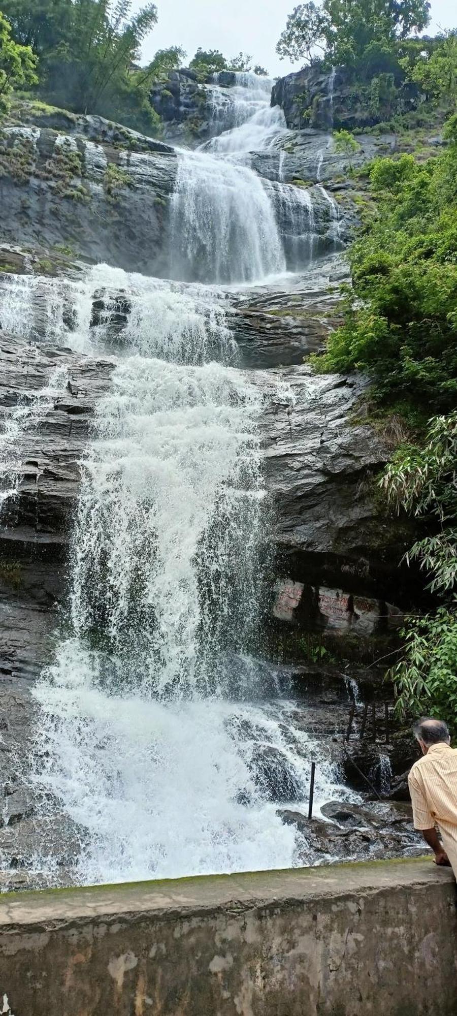 4 Acre Woods Farm Stay Munnar Bilik gambar